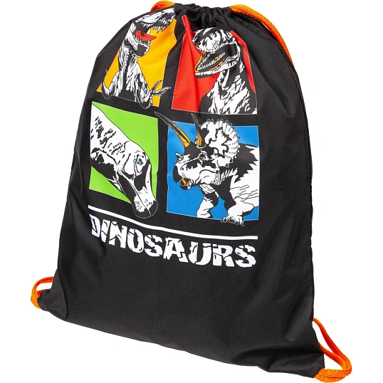Мешок для обуви Dinosaurs, 330x420 мм, МО-20