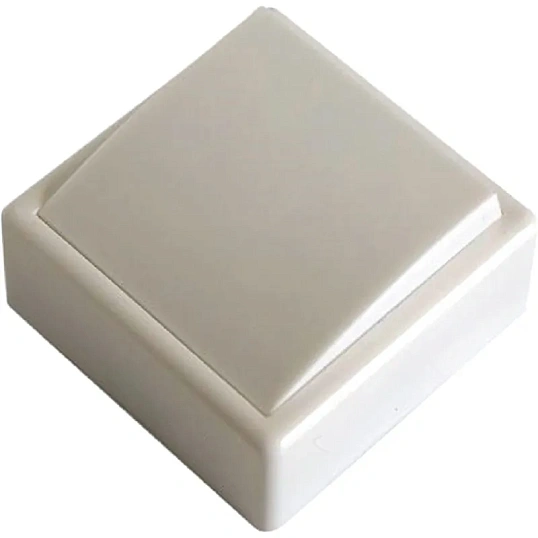 Выключатель одноклавишный открытой установки А 16-116, 6А, IP20