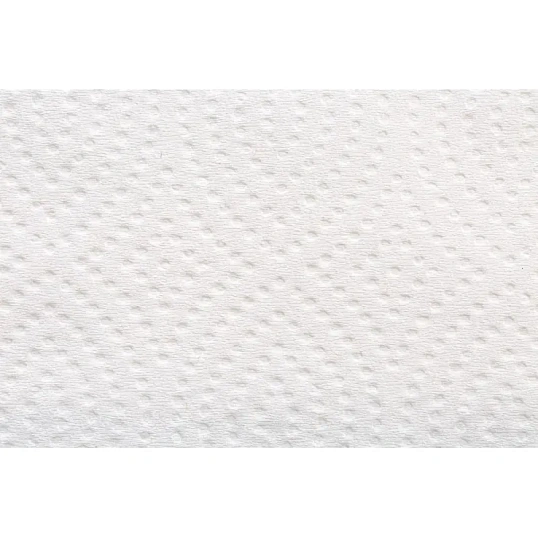 Полотенца бумажные д/дисп. FOCUS PremiumVсл 2сл 200л15пач/уп 5083739 п/э