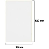 Термотрансферные этикетки ПГЛ 75х120 (3 шт.)+риббон WAX 80x100 в комплекте