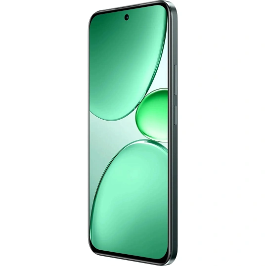 Смартфон Realme C85 Pro RMX5555 256Gb 8Gb темно-зеленый