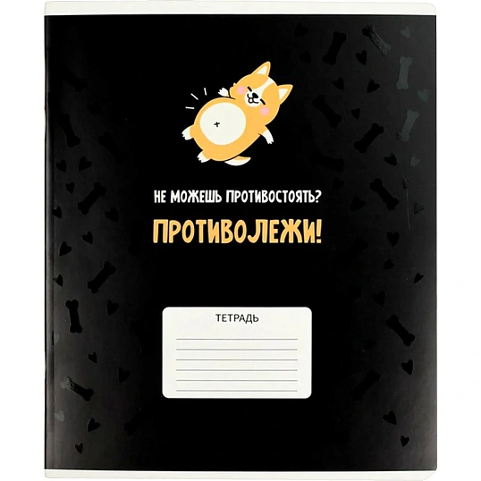 Тетрадь 24 л клетка ГЕРОИ С ХАРАКТЕРОМ А5+ 68545