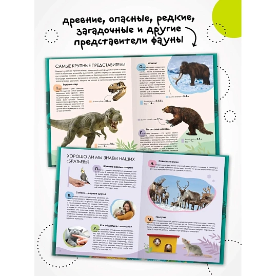 Энциклопедия детская  Животные МС14323