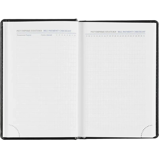 Ежедневник датированный 2026, черный,А6, 100х150 мм,336 стр,Agenda