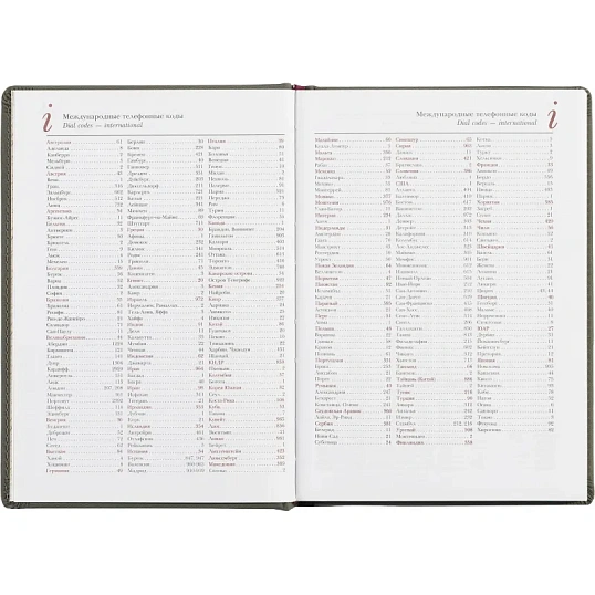 Ежедневник недатированный А5 145 х 205 мм Velvet серый 272 стр. 3-115/13