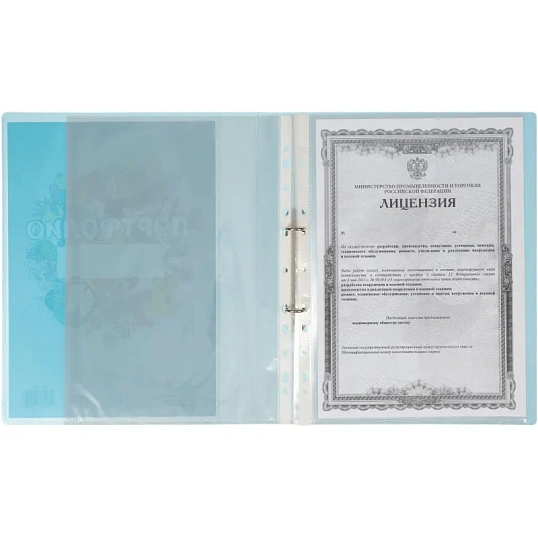 Папка адресная Портфолио ученика на 2 ух кольцах, с 20 файлами , голуб