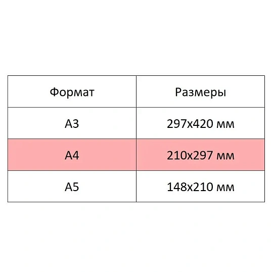 Альбом для рисования Kroyter А4 30л скл,бл.100г, Аnimals,диз.в асс.64553