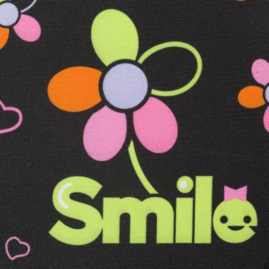 Ранец Light 700г Smile, 2 отд