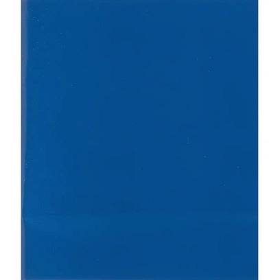 Тетрадь общая А5,48л,клет,скреп,обл.бумвинил,блок офсет-2 Синяя