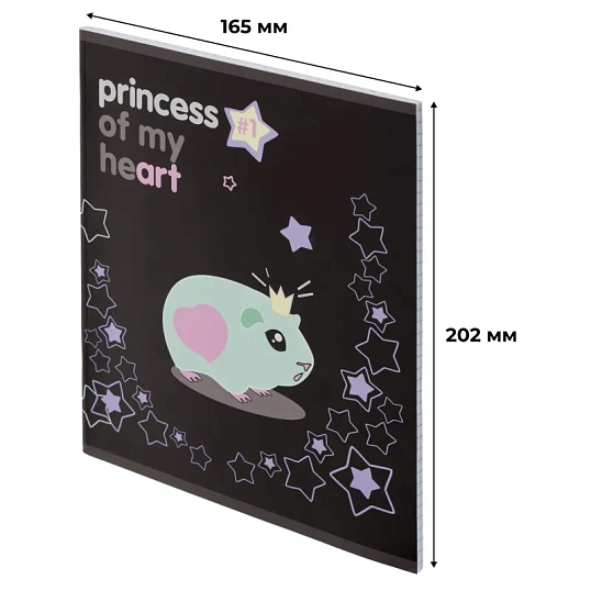 Тетрадь общая А5 48л Princess,клет,скреп, ВД-лак