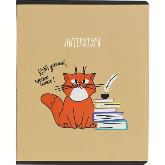 Тетрадь предметная набор Комус Класс  Котики 12 шт., 48., А5