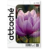 Фотобумага для цв.струй.печ. ProMEGA jet (10х15, 190г, глянцевая) пачка 50л