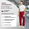 Брюки для пищевого производства бордо универс.сат у17-БР (р.56-58)р.158-164