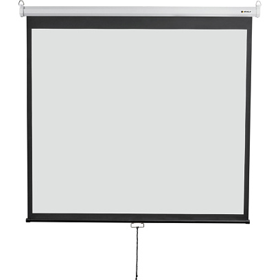 Экран Digis DSOD-4304 настенный 4:3, 240х180