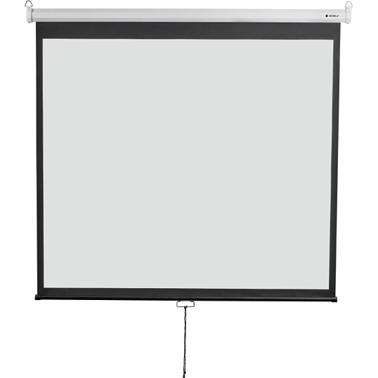Экран Digis DSOD-4304 настенный 4:3, 240х180