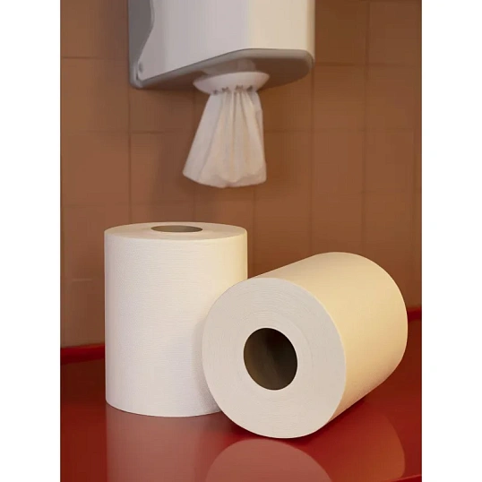 Полотенца бумажные д/дисп. Luscan Professional 1сл300м 6рул/уп