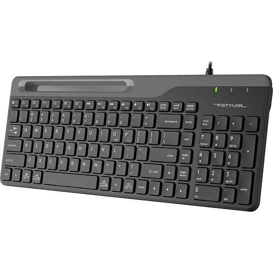 Клавиатура A4Tech Fstyler FK25 черный USB slim