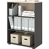 Стеллаж для документов низкий К-Loft 241H011 выс 1080 дуб скандин./графит
