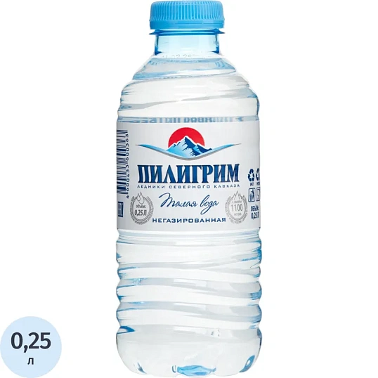 Вода минеральная Пилигрим талая ледниковая негазированная пэт 0.25л