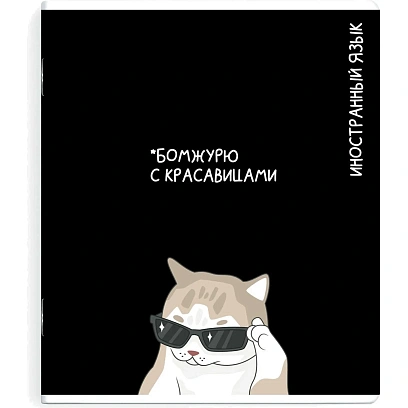 Тетрадь предметнaя ИНОСТРАННЫЙ ЯЗЫК 'КОТЫ МЕМЫ' 48 л.А5+,кл,справ.инф/69829