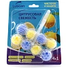 Блок для унитаза Luscan цитрус 2x50 г