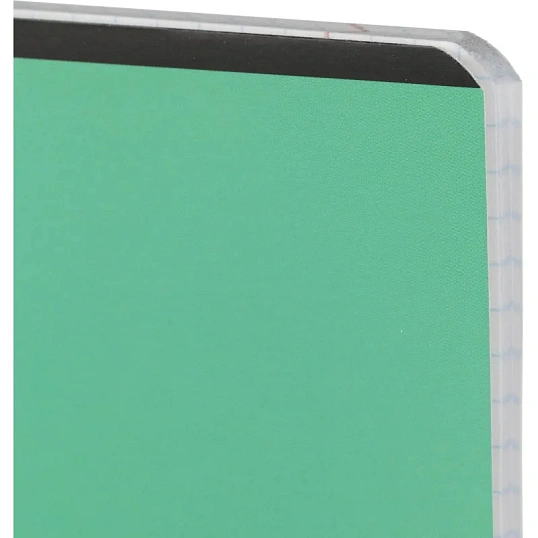 Тетрадь предметная набор Комус Класс  Котики 12 шт., 48., А5