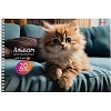 Альбом д/рисования А4 20л. ИНТЕРЬЕР С КОТЯТАМИ 2диз. 20-0999