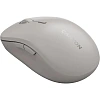 Мышь компьютерная CANYON беспров. MW-12 серый (CNS-CMSW12DG)