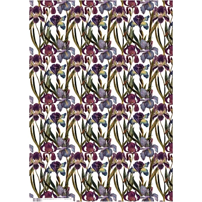 Бумага упаковочная FLORA.ИРИСЫ, 50 х 70 см (4 листа), 2-794/03