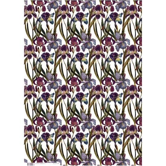 Бумага упаковочная FLORA.ИРИСЫ, 50 х 70 см (4 листа), 2-794/03