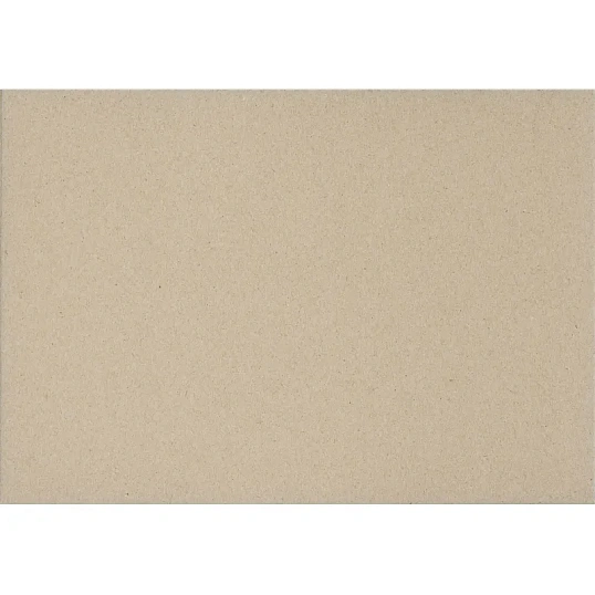 Картон цветной Выбор есть Отличник 20л10цв А4 немелован.пакет