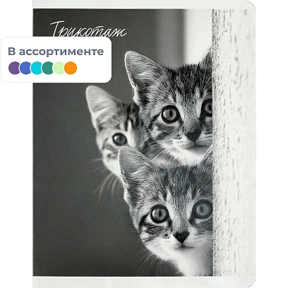 Тетрадь 48 л, клетка  МОНОХРОМНЫЕ КОТЫ А5+,  в ассорт/70920