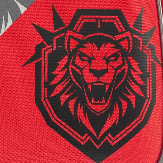 Ранец Комус Класс Basic Храбрый, 2 отд, эргоном спинка