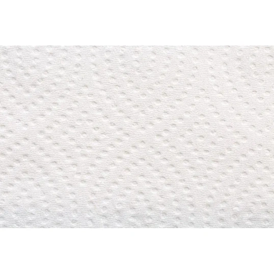 Полотенца бумажные д/дисп. FOCUS Eco Vсл 1сл бел 250л 15пач/уп 5083741 п/э