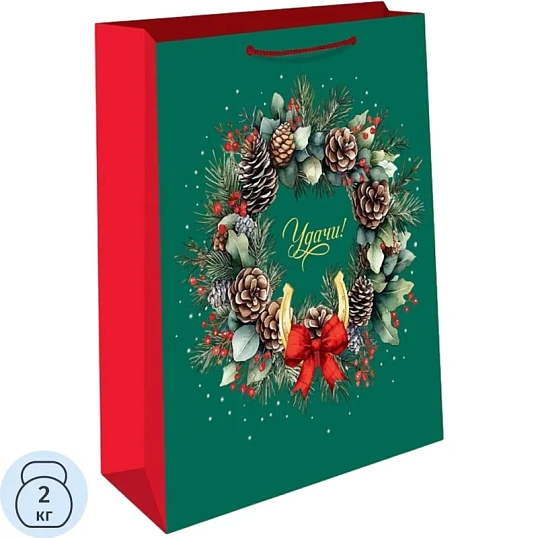 Пакет подарочный НГ АВ 26х32х12см, 0193.645к