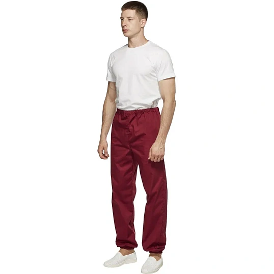 Брюки для пищевого производства бордо универс.сат у17-БР (р.56-58)р.158-164