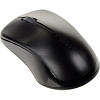 Мышь компьютерная RAPOO беспроводная 1620, цвет - черный