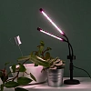 Фитосветильник настольный для растений ЭРА FITO-20W-АLED RA-USB