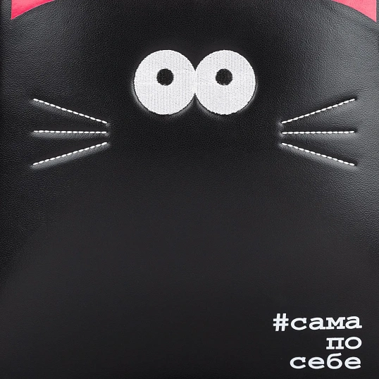 Ранец Комус Класс Stright Котэ Сама по себе, черный, 2 отд, эргоном. Спинка