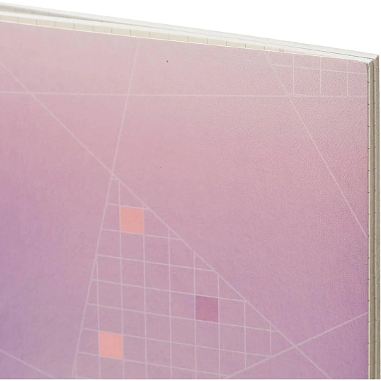 Тетрадь общая А5,48л,кл,скоб,офсет-2 Ice фиолет/красная