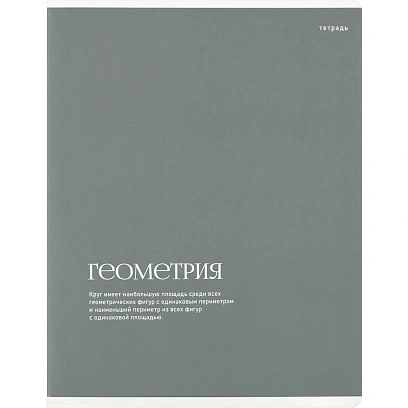 Тетрадь предметнaя ГЕОМЕТРИЯ ИНТЕРЕСНЫЕ ФАКТЫ 48 л,кл,А5+,справ.инф/73714