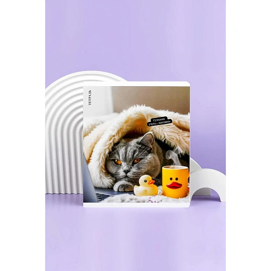 Тетрадь 48 л, клетка   КОТ С УТКОЙ А5+, в ассорт/70924