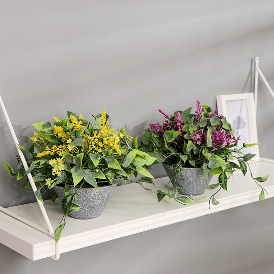 Растение бонсай в горшке Лиана и мелкие цветочки 11х16 см, микс 4642631