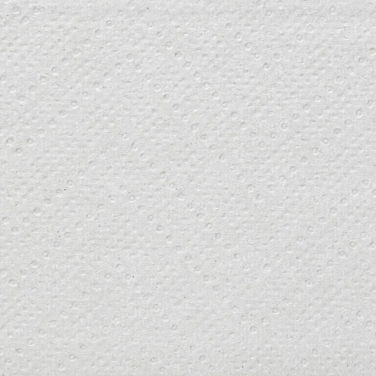 Полотенца бумажные д/дисп. Luscan Professional Zсл 2сл втор 200л 21пач/уп