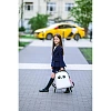 Ранец Basic Panda, 2 отд., эргоном. спинка, экокожа