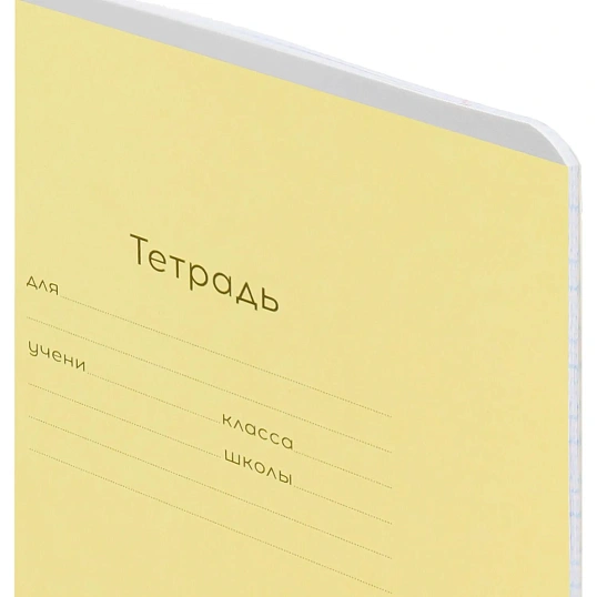 Тетрадь ЛИНИЯ 12л.проз.пласт.обл plastic cover КЛАССИКА NEW ассорти,12-1413