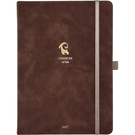 Ежедневник датированный 2027 IF 140x200мм 176л тверд с рез Шанс I1916/brown