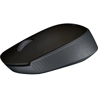 Мышь компьютерная Logitech USB OPTICAL WRL M171 BLACK