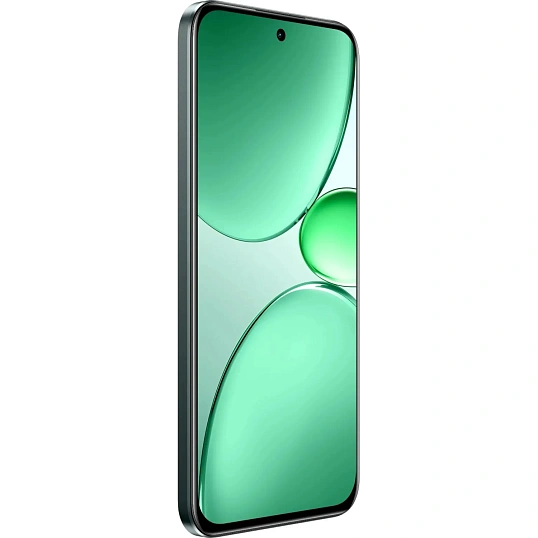 Смартфон Realme C85 Pro RMX5555 256Gb 8Gb темно-зеленый