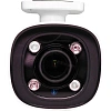 IP-камера Trassir TR-D2123IR6 v6 (D) 2.7-13.5,матрица 1/2.7 CMOS 2Мп FullHD